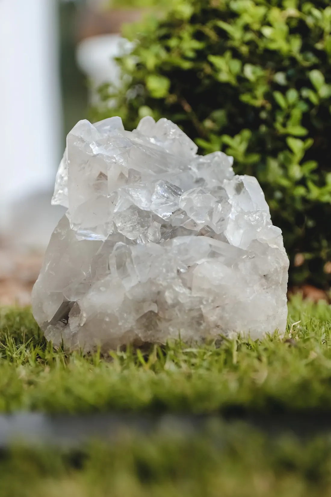 Cristal no jardim